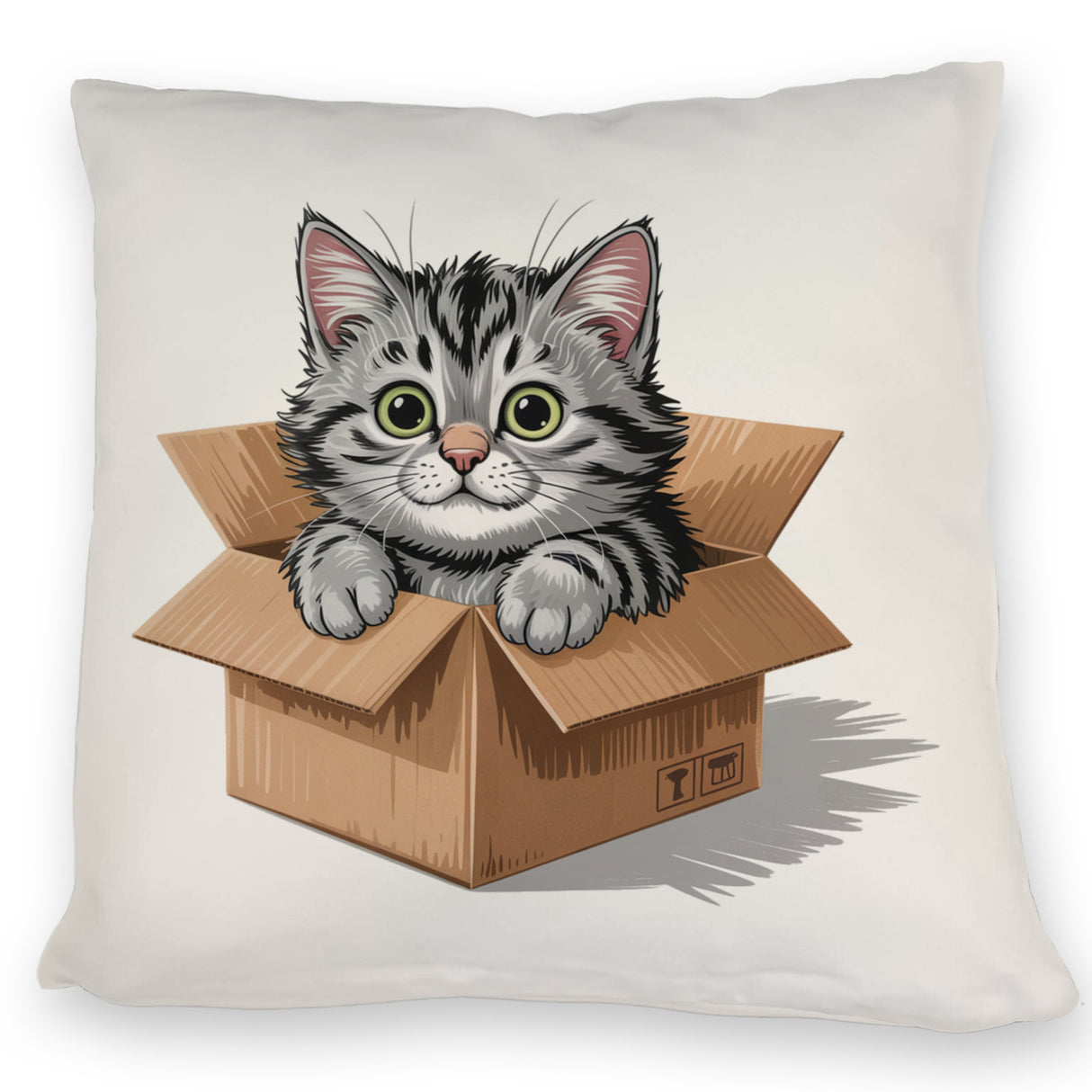 Katze im Karton Kissen für Katzenfans