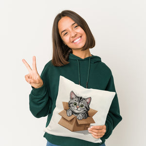 Katze im Karton Kissen für Katzenfans