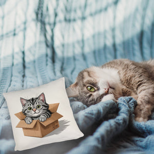 Katze im Karton Kissen für Katzenfans