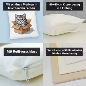 Katze im Karton Kissen für Katzenfans