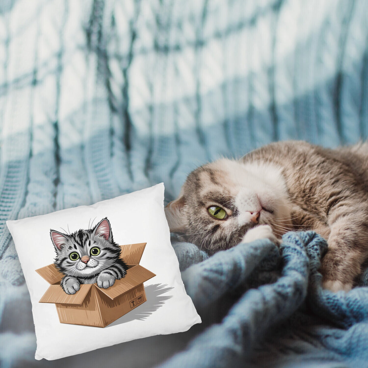 Katze im Karton Kissen für Katzenfans