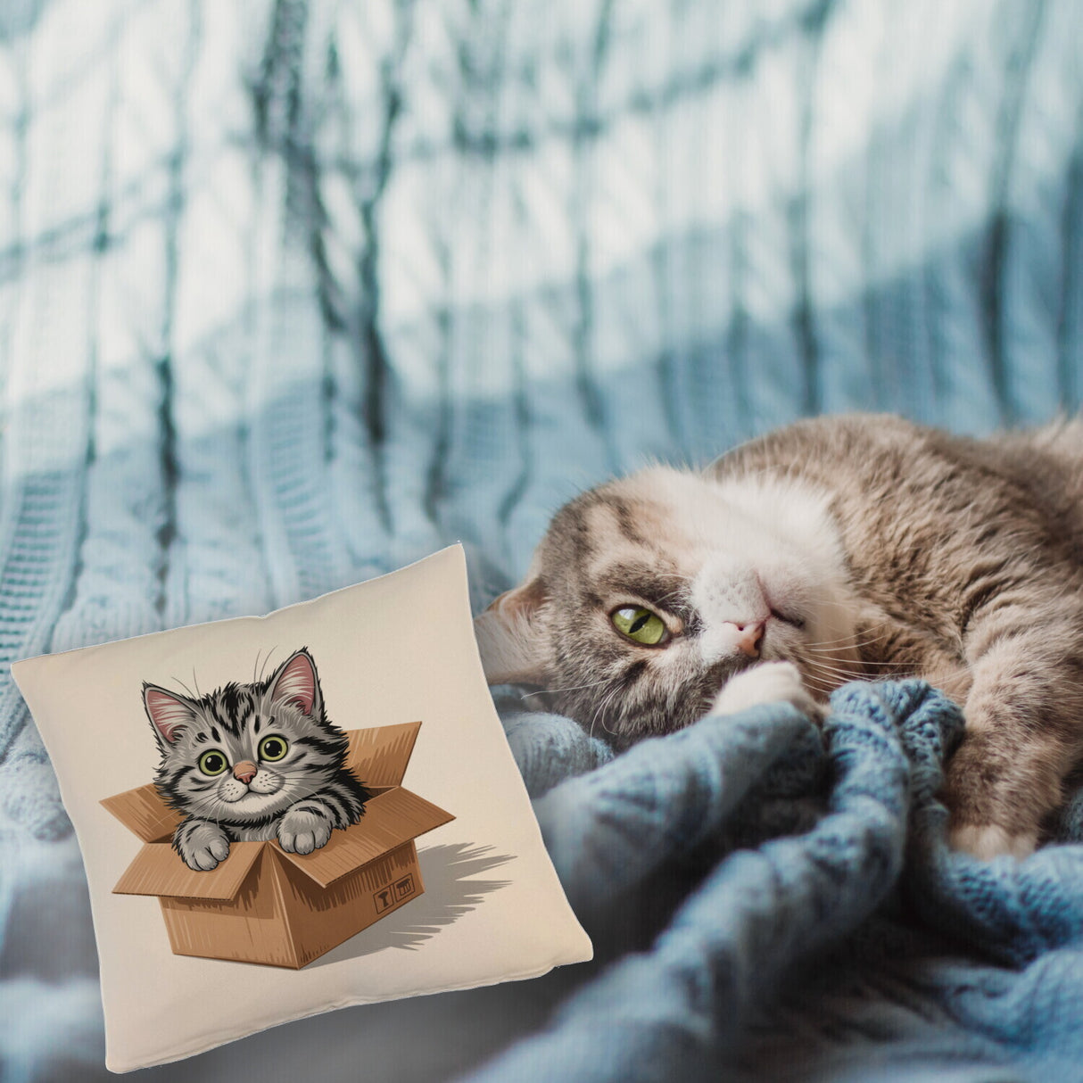 Katze im Karton Kissen für Katzenfans