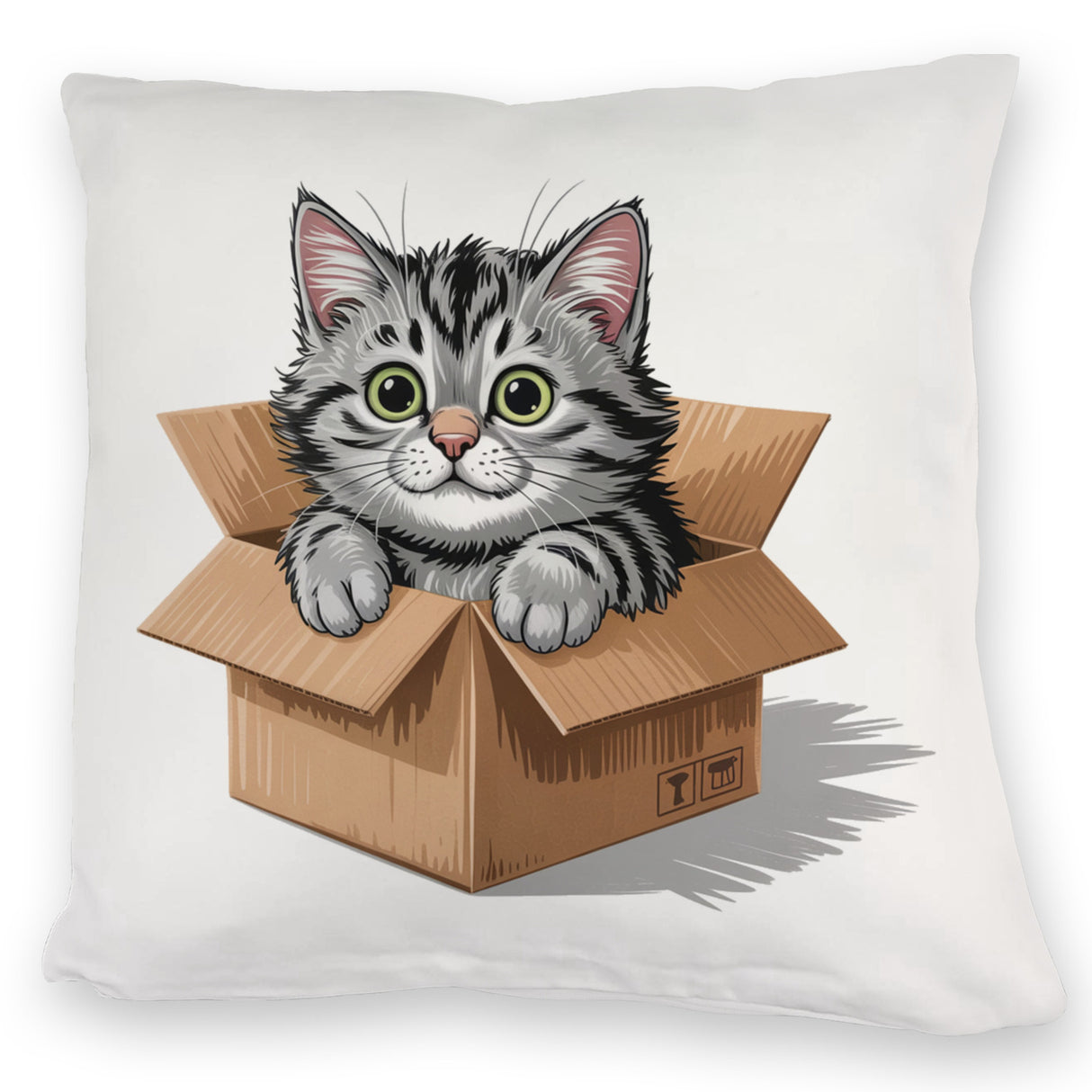 Katze im Karton Kissen für Katzenfans