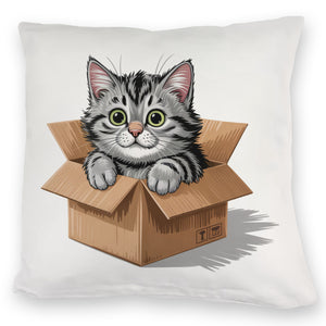 Katze im Karton Kissen für Katzenfans