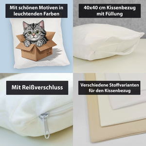 Katze im Karton Kissen für Katzenfans