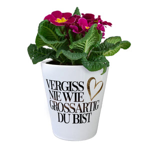 Vergiss nie wie großartig Du bist Blumentopf Goldenes Herz