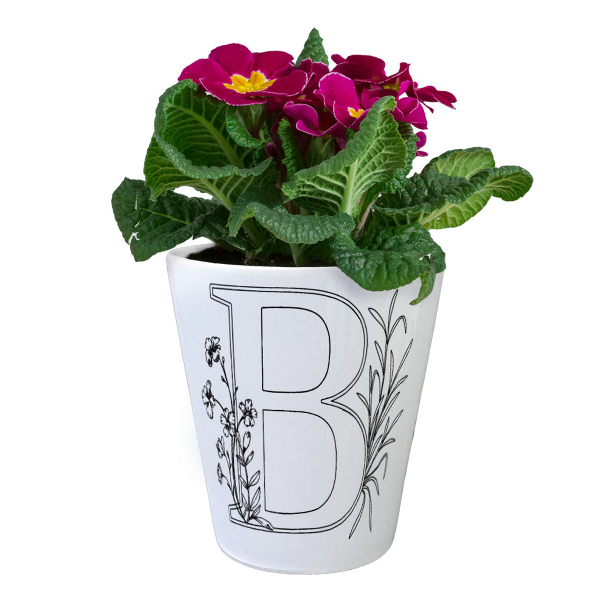 Floral Buchstabe B Blumentopf zum Ausmalen für Kunstliebhaber