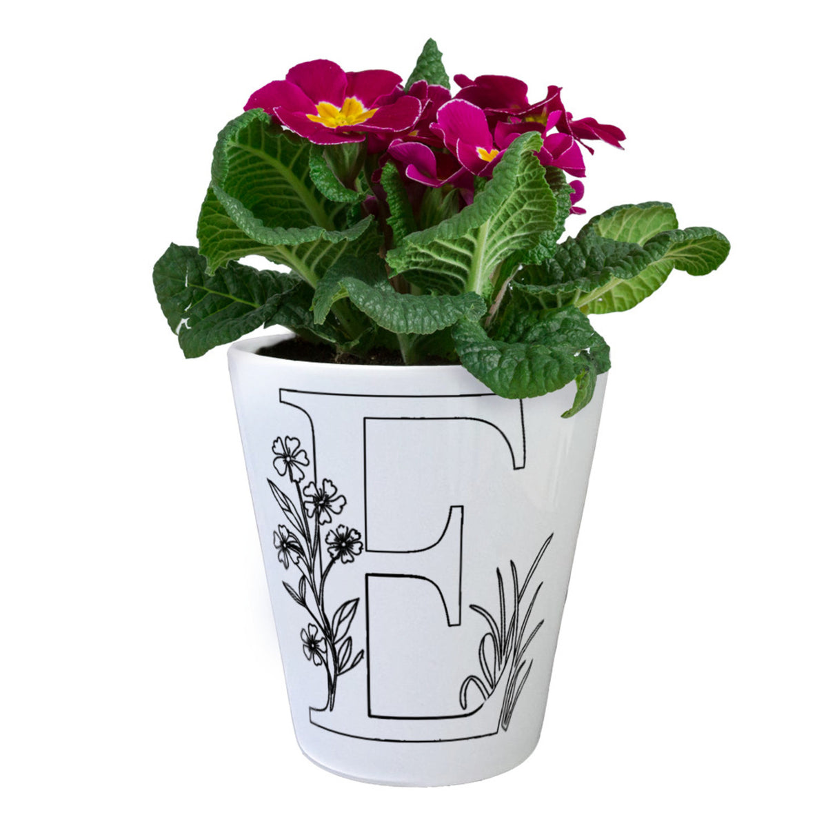 Floral Buchstabe E Blumentopf zum Ausmalen für Kunstliebhaber