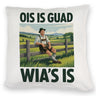Zufriedener Bauer Ois is guad wia´s is Kissen