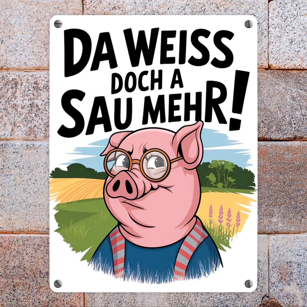 Cartoon Sau mit Brille Metallschild in 15x20 cm A Sau weiß mehr
