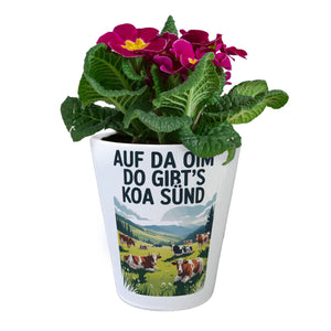 Auf da Oim, do gibt's koa Sünd Blumentopf Berglandschaft mit Kühen