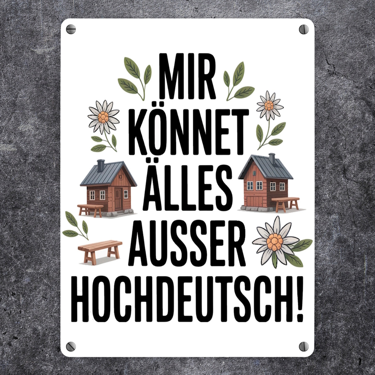 Mir könnet älles außer Hochdeutsch Metallschild in 15x20 cm Schwäbisch