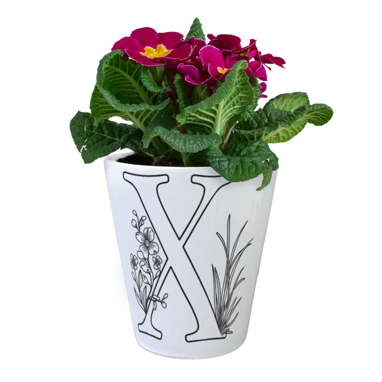 Floral Buchstabe X Blumentopf zum Ausmalen für Kunstliebhaber