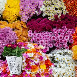 Floral Buchstabe X Blumentopf zum Ausmalen für Kunstliebhaber