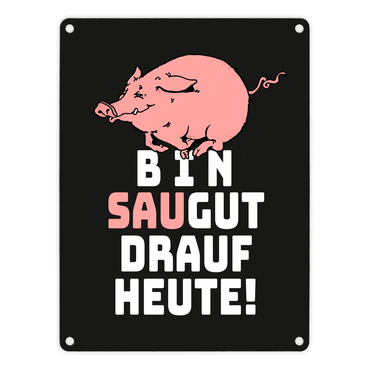 Bin saugut drauf heute Metallschild in 15x20 cm