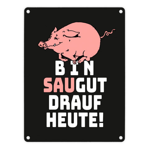 Bin saugut drauf heute Metallschild in 15x20 cm