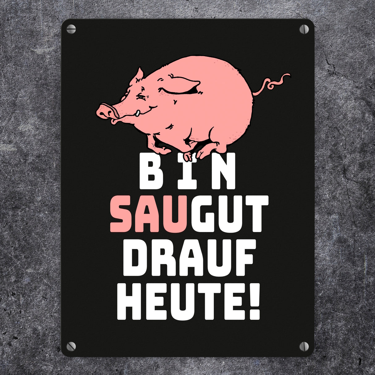 Bin saugut drauf heute Metallschild in 15x20 cm
