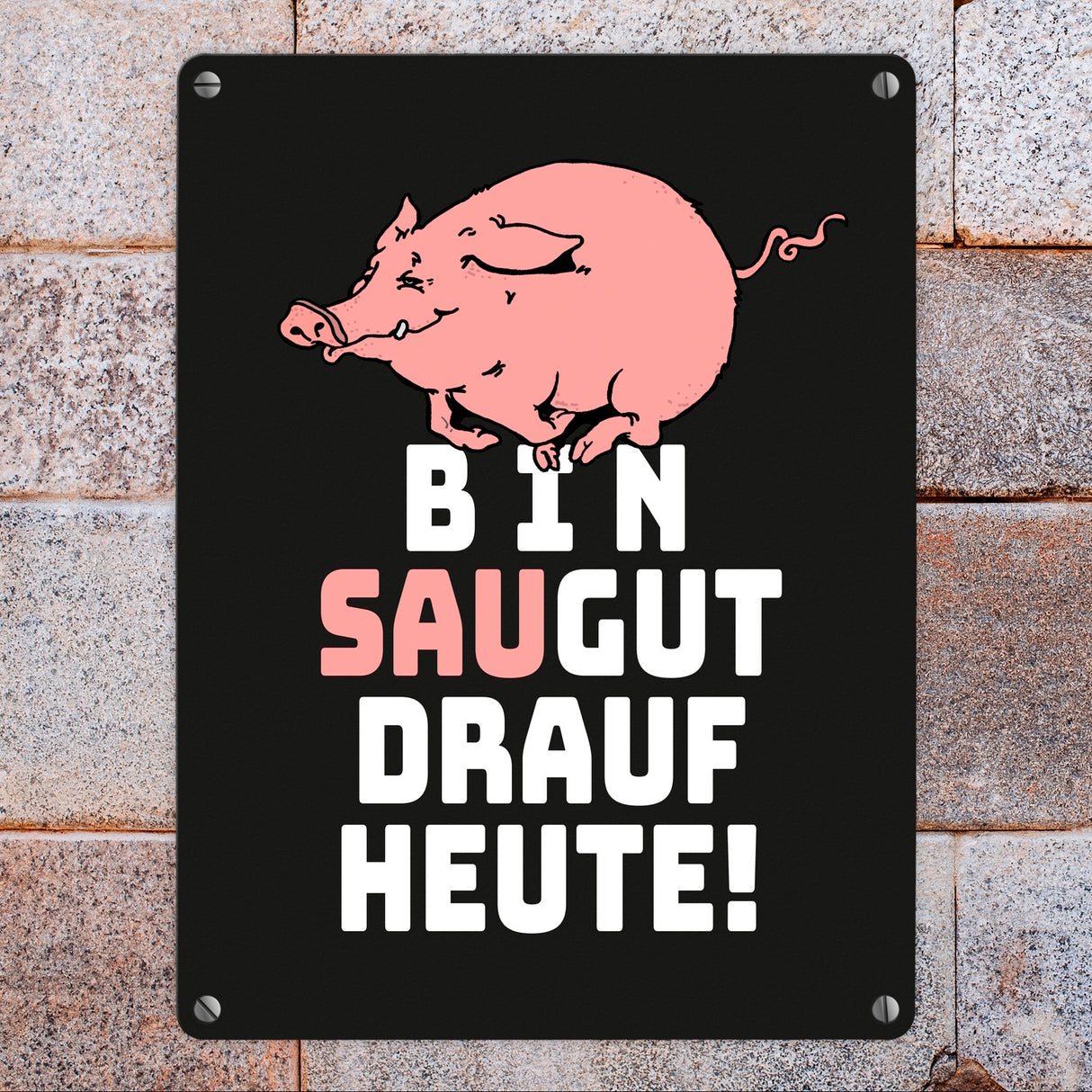 Bin saugut drauf heute Metallschild in 15x20 cm
