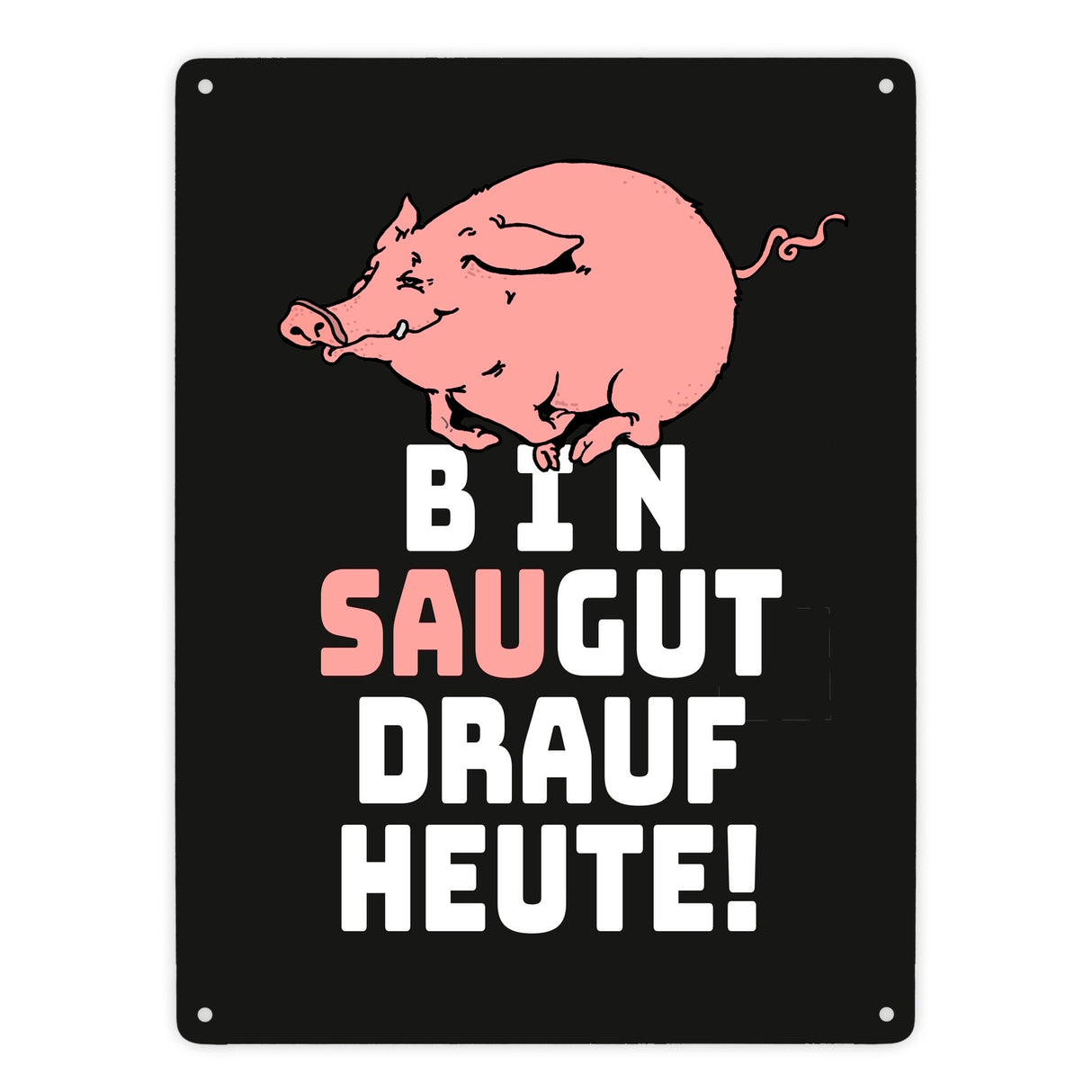 Bin saugut drauf heute Metallschild in 15x20 cm