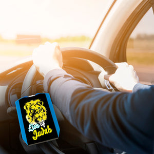 Lion of Judah Parkscheibe