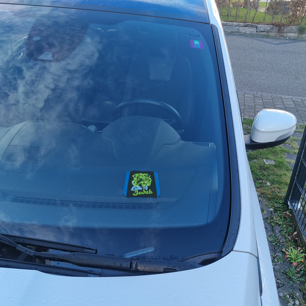 Lion of Judah Parkscheibe
