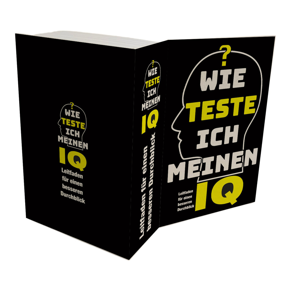 IQ-Test-Leitfaden Booksafe
