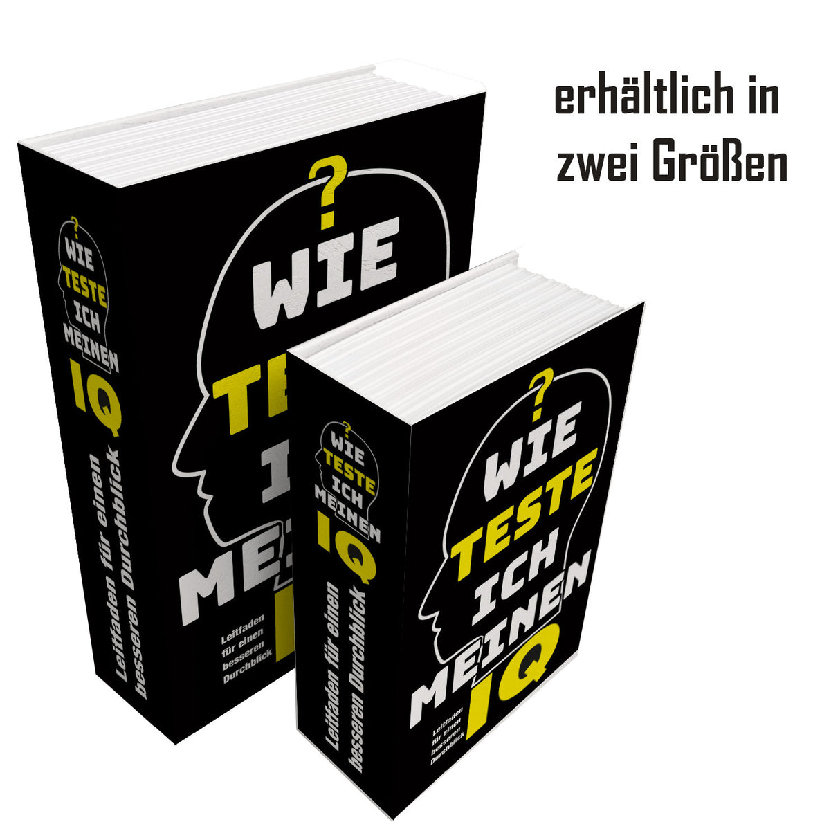 IQ-Test-Leitfaden Booksafe