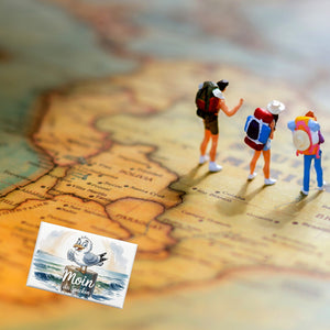 Verspielte Möwe Moin ihr SPACKEN Souvenir Souvenir Magnet
