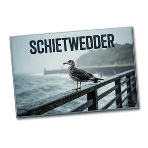 Möwe im Regen Schietwedder Souvenir Souvenir Magnet