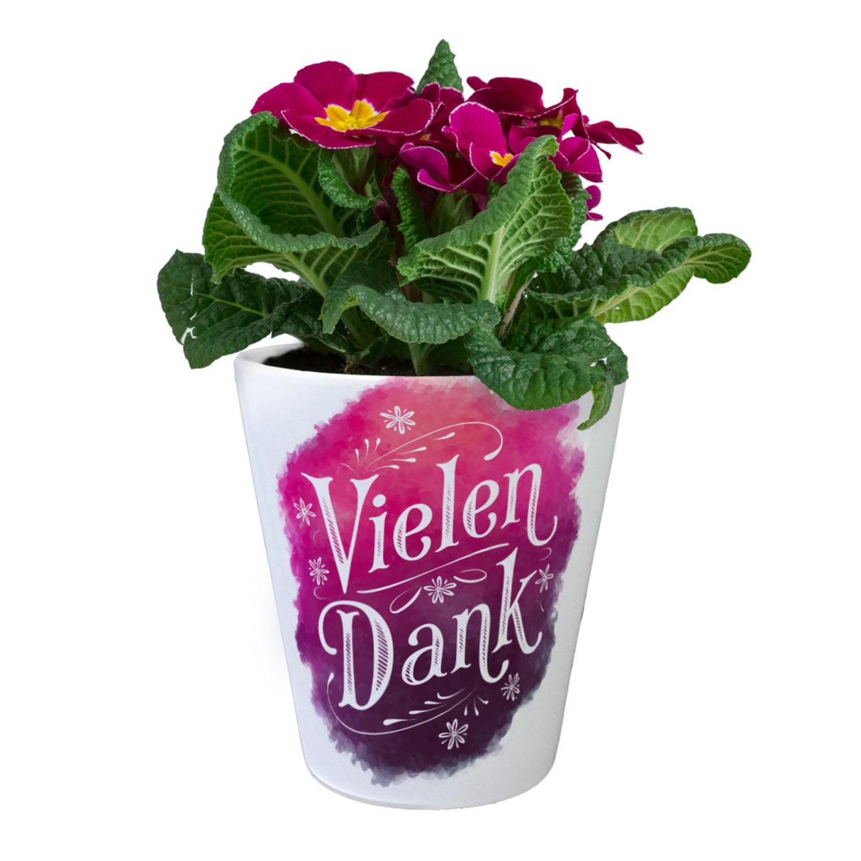 Vielen Dank Aquarelles Blumen Design Blumentopf