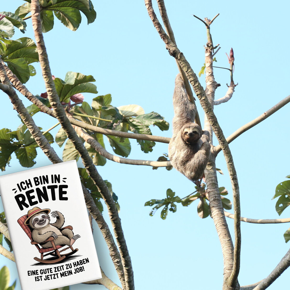Faultier Ruhestand Souvenir Souvenir Magnet für Rentner