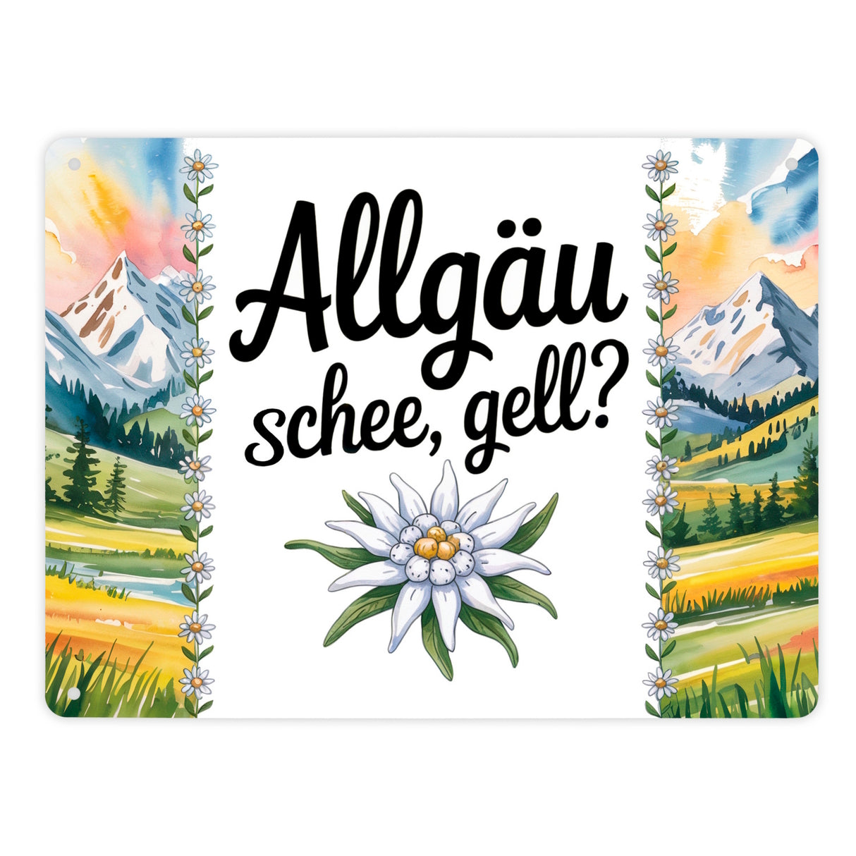 Edelweiß Allgäu und schee, gell? Metallschild in 15x20 cm