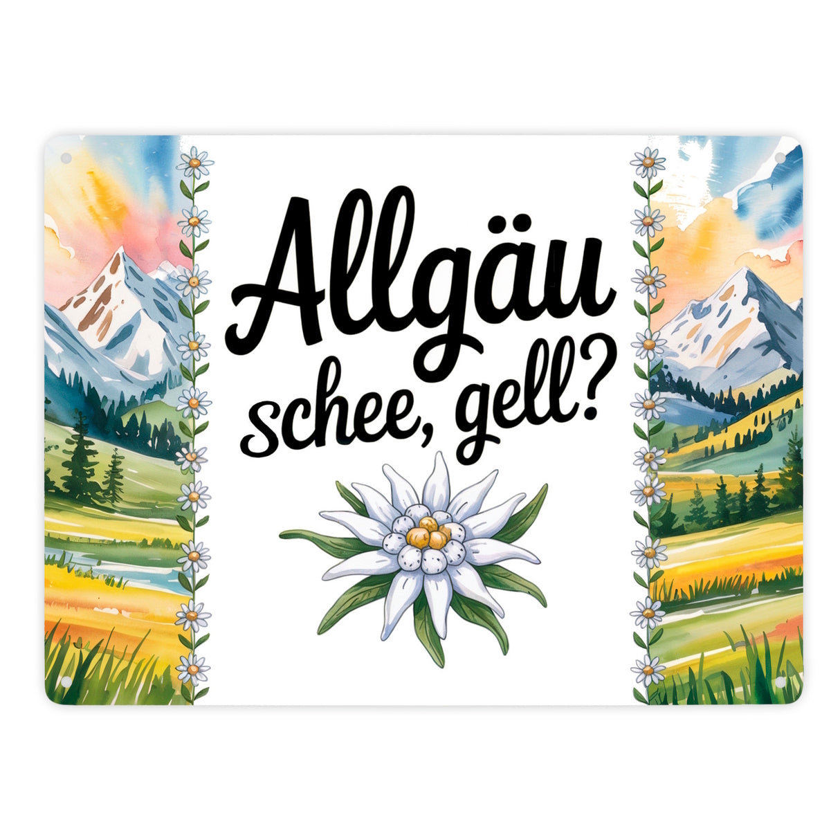 Edelweiß Allgäu und schee, gell? Metallschild in 15x20 cm