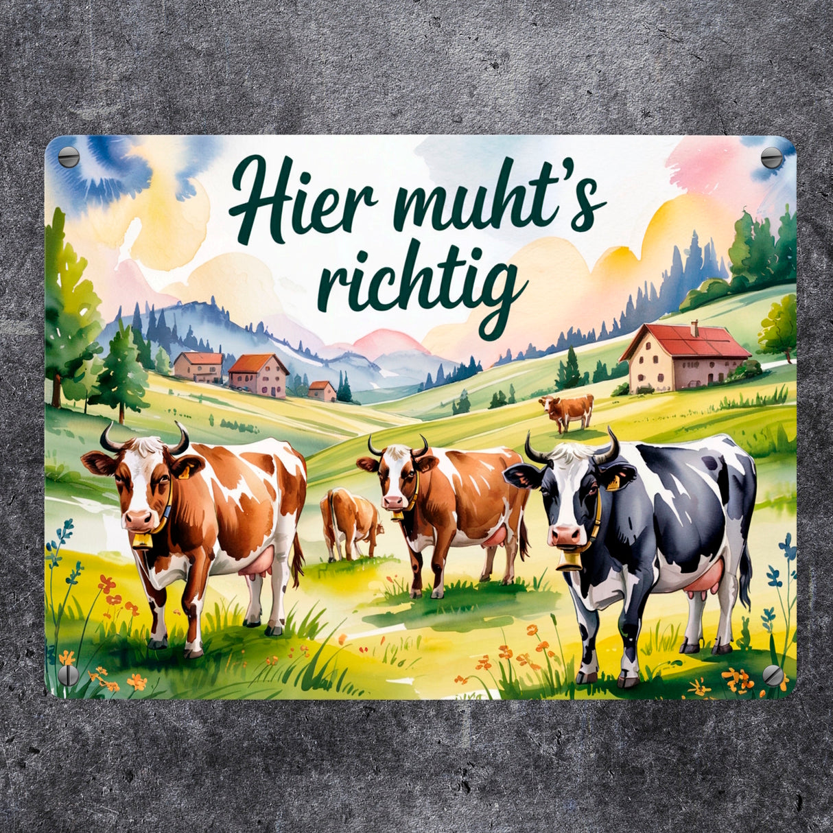 Alpenkühe Hier muht's richtig Metallschild in 15x20 cm