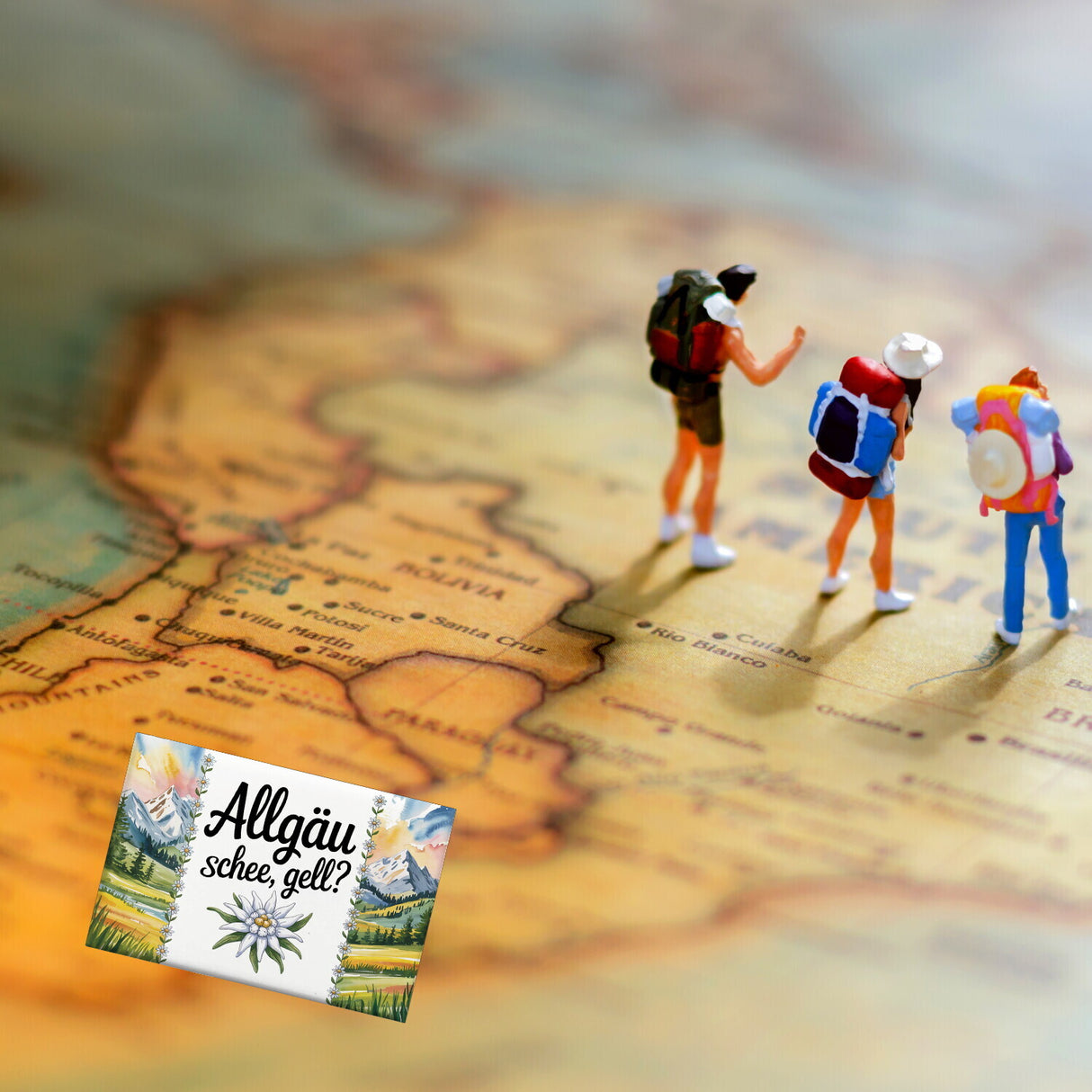 Edelweiß Allgäu und schee, gell? Souvenir Souvenir Magnet