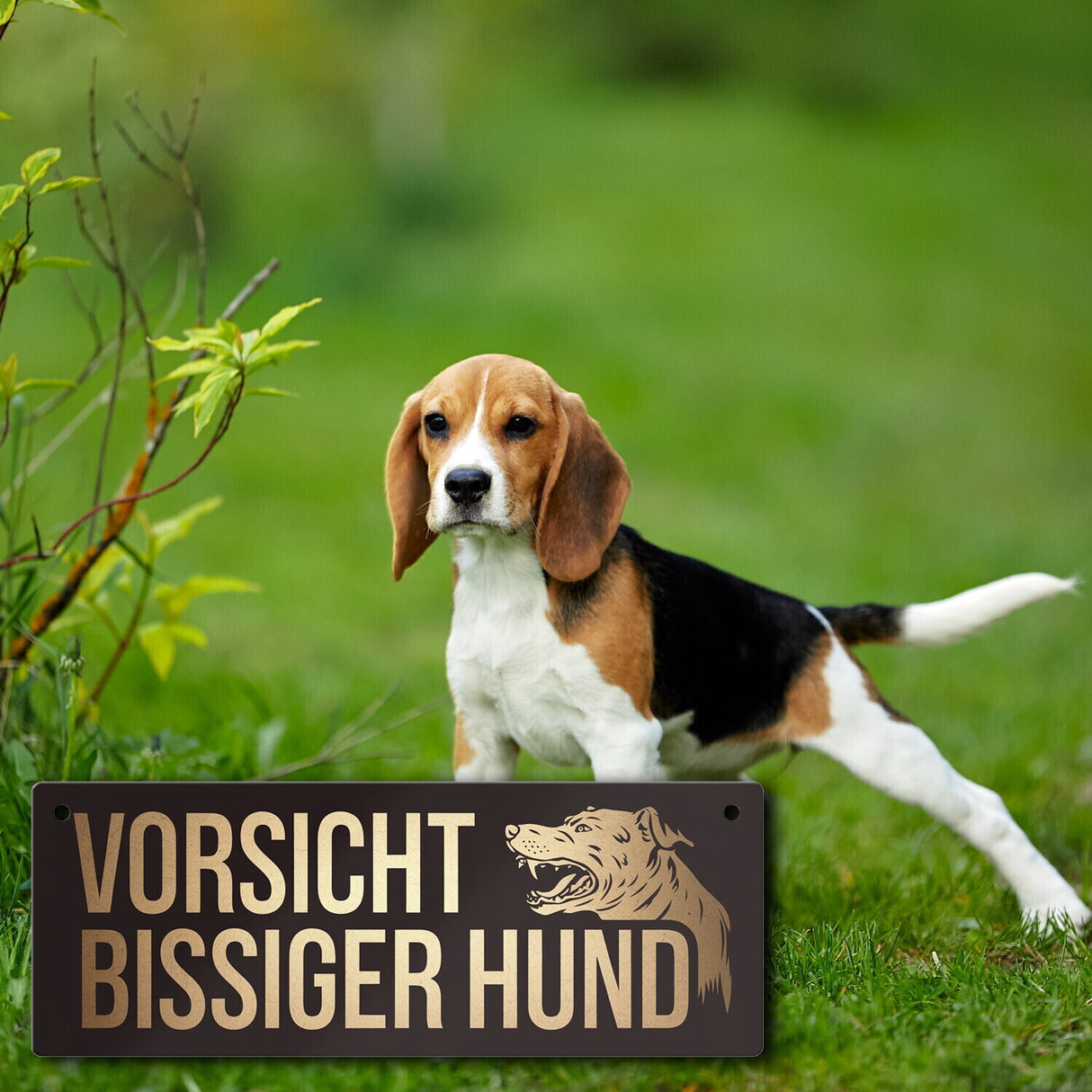 Knurrender Hund Metallschild mit Vorsicht bissiger Hund