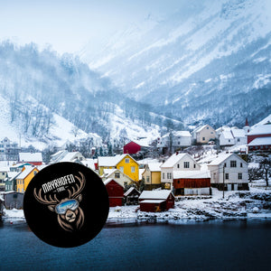 MAYRHOFEN Tirol Magnet mit coolem Hirsch