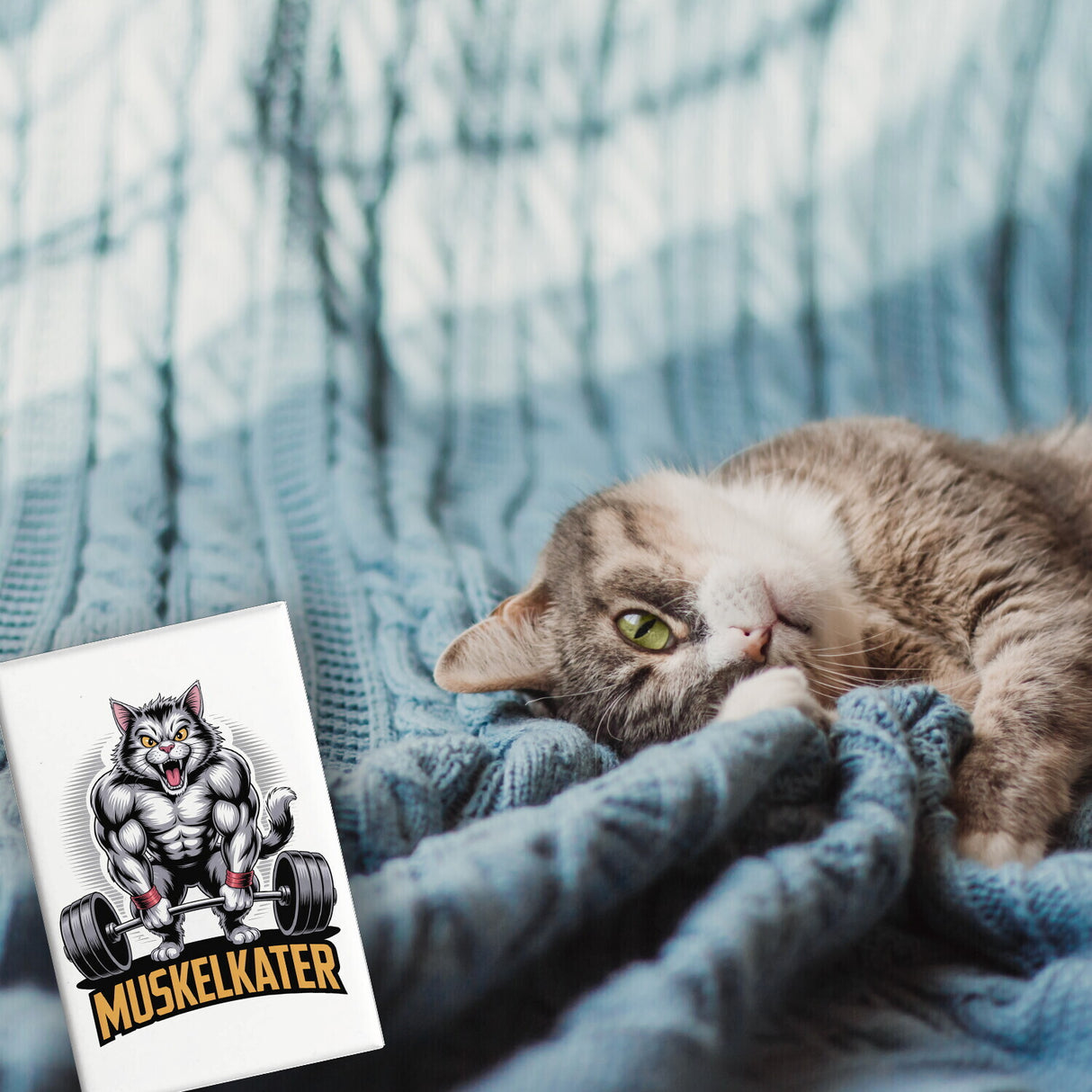 Muskulöse Katze Muskelkater Souvenir Souvenir Magnet