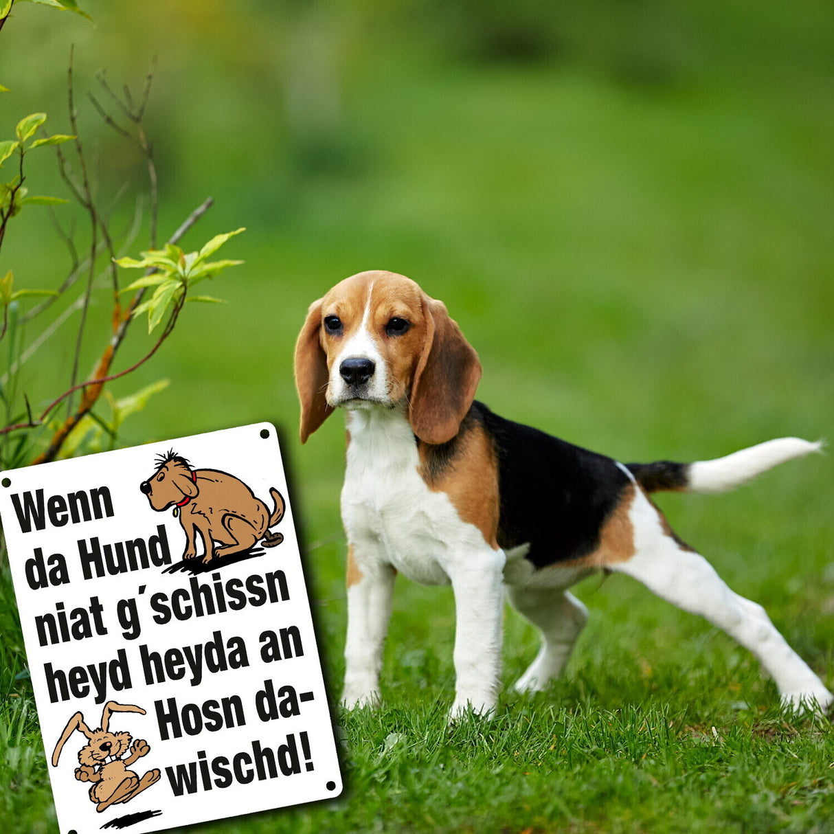 Hund und Hase Metallschild in 15x20 cm mit Spruch Hund gschissn, Hosn dawischd nicht!