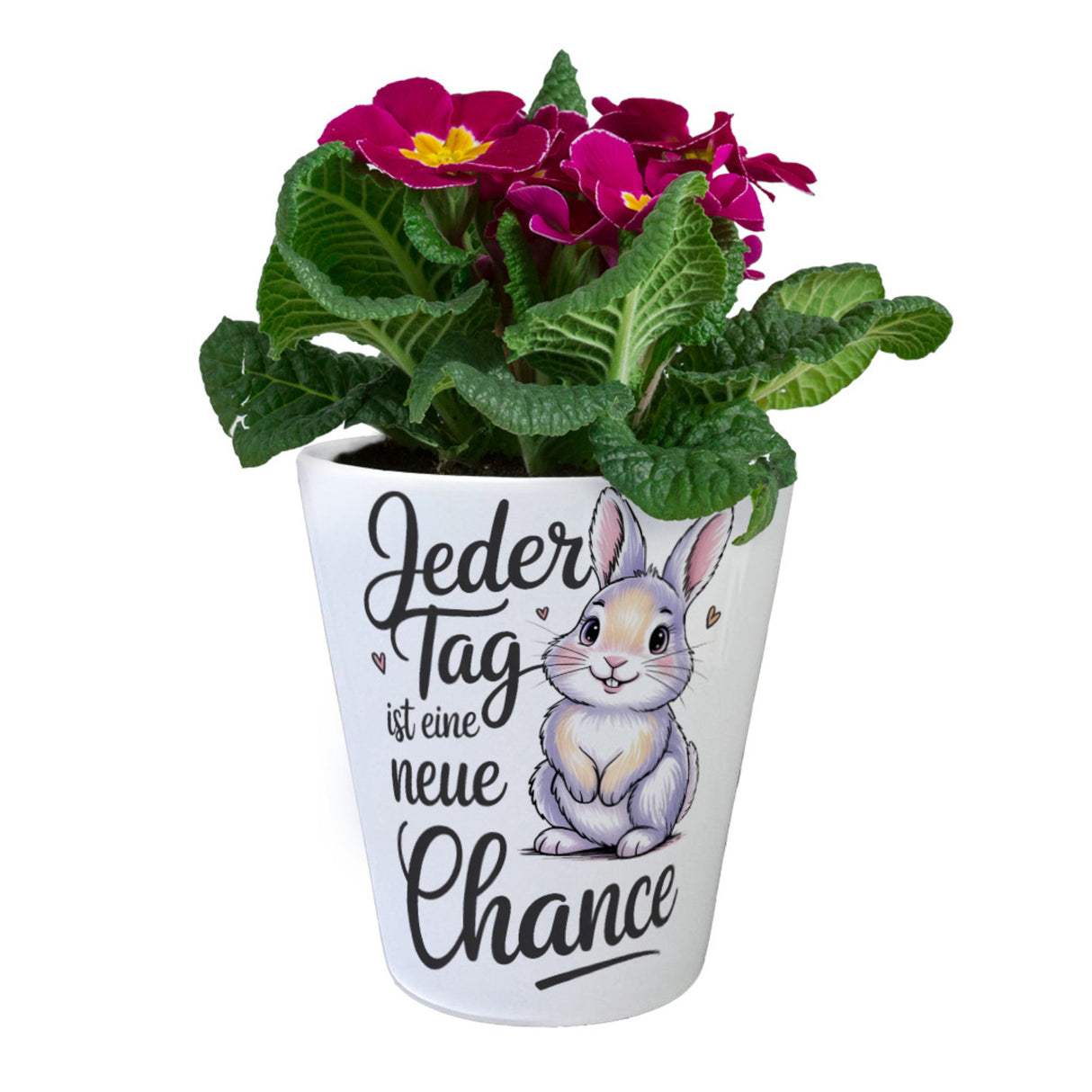 Hase mit Herzen Jeder Tag ist eine neue Chance Spruch Blumentopf