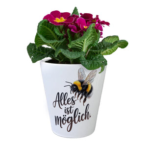 Alles ist möglich Hummel Blumentopf
