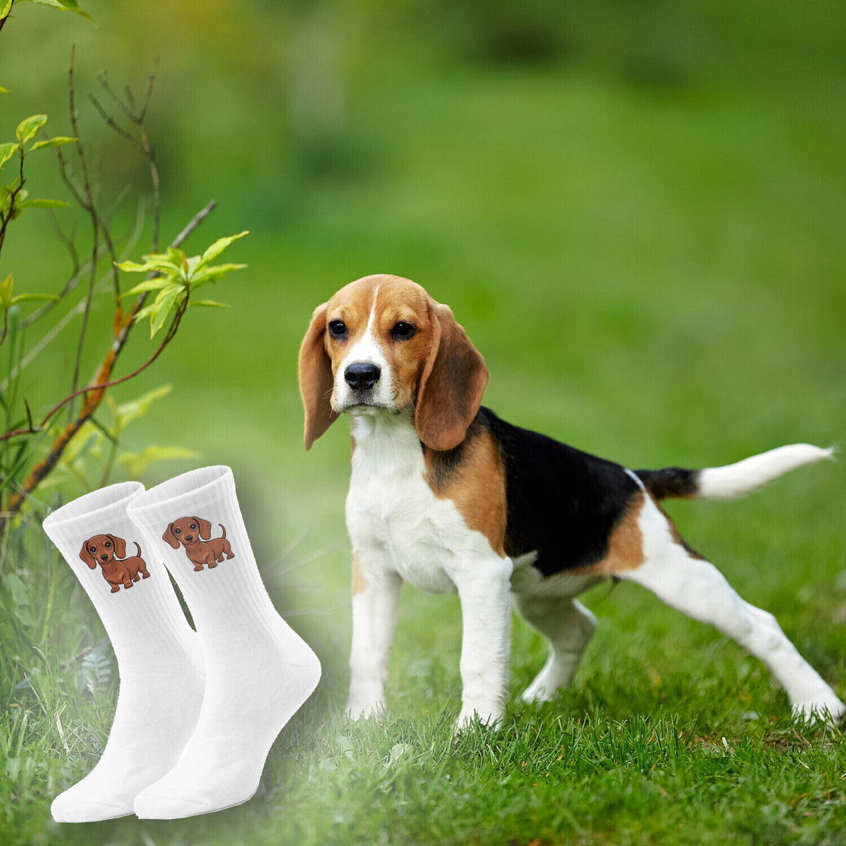 epicsocks Dackelliebe Rotbrauner Dackel Socken in 37-41 im Paar