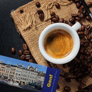 streetline Genf Place du Bourg-de-Four Panorama Souvenir Magnet