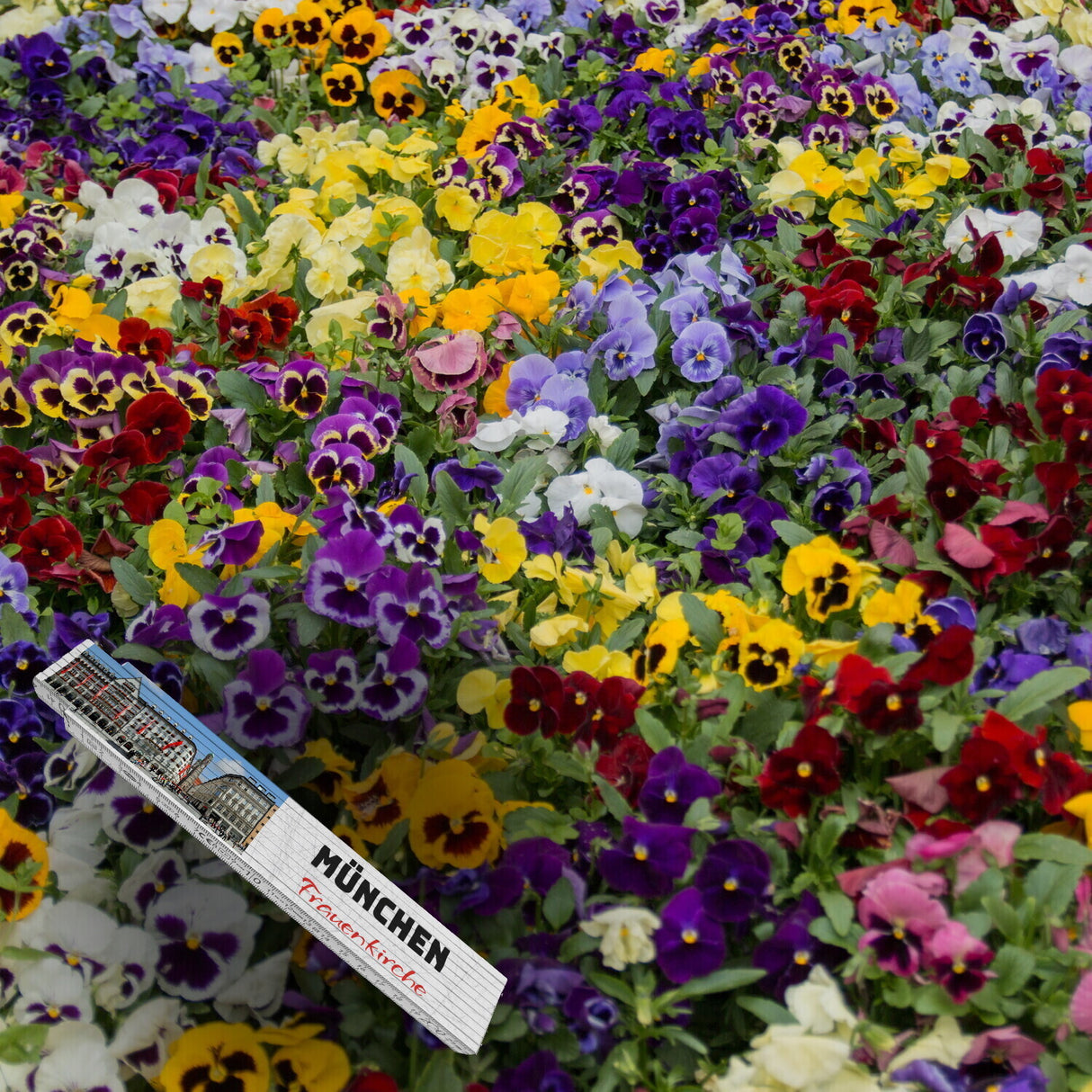 streetline München Frauenkirche Meterstab aus Holz