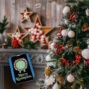 Hinterteil Weihnachtsmuffel Merry Kissmyass Parkscheibe Weihnachten