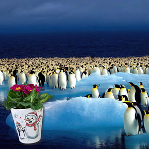 Schneemann Pinguin Blumentopf für Winterfreunde
