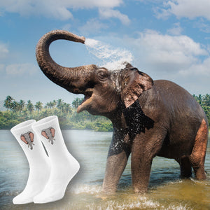 epicsocks Big Six Safari Elefant Socken in 37-41 im Paar