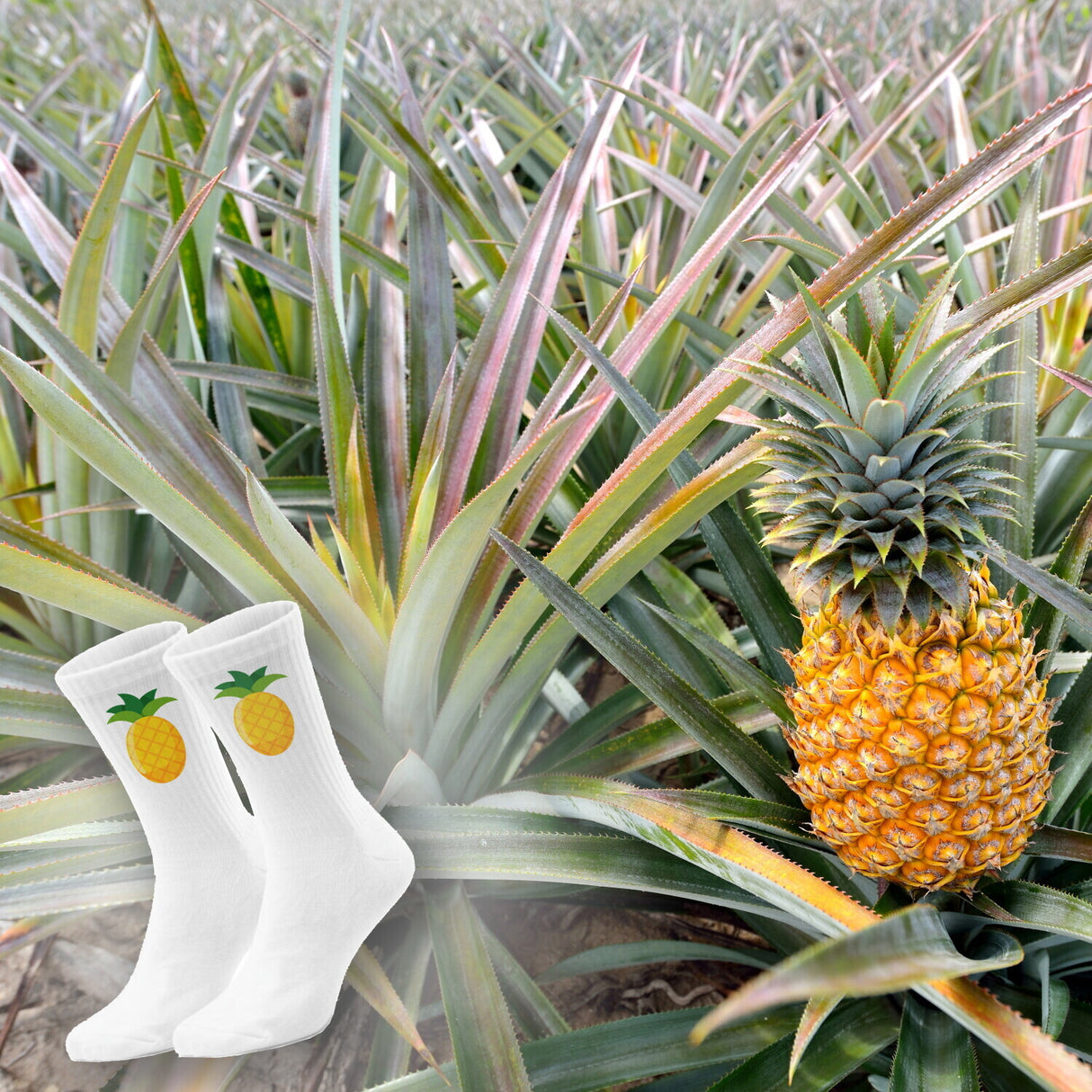 epicsocks Sunshine Fruits Ananas Socken in 37-41 im Paar