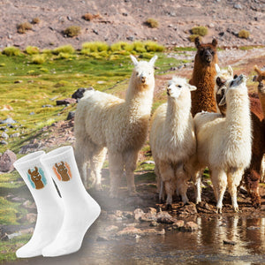 epicsocks Llama Expressions Lama Laune Socken in 37-41 im Paar