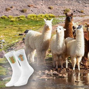 epicsocks Llama Expressions Drama Lama Socken in 37-41 im Paar